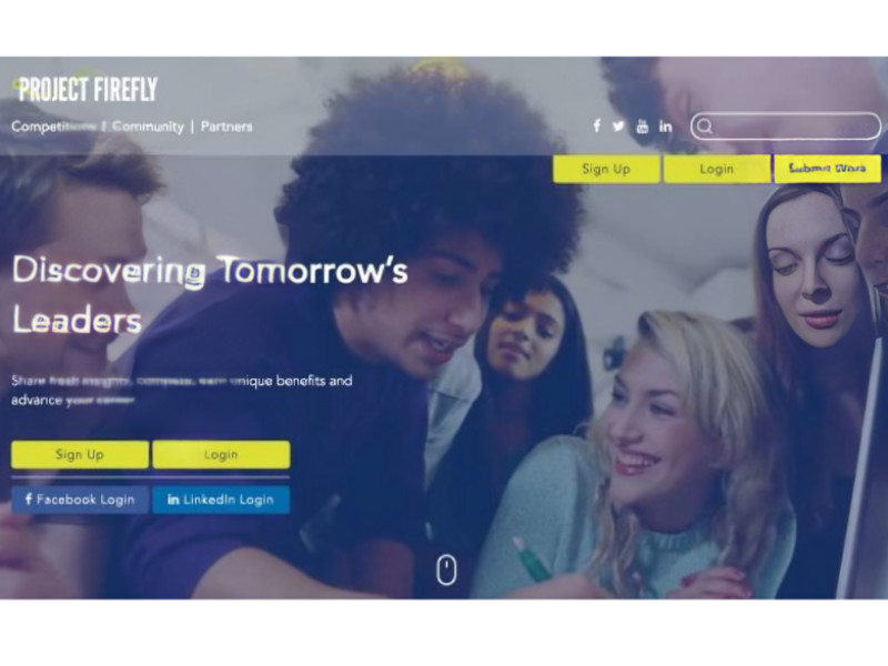 Project Firefly Website Design