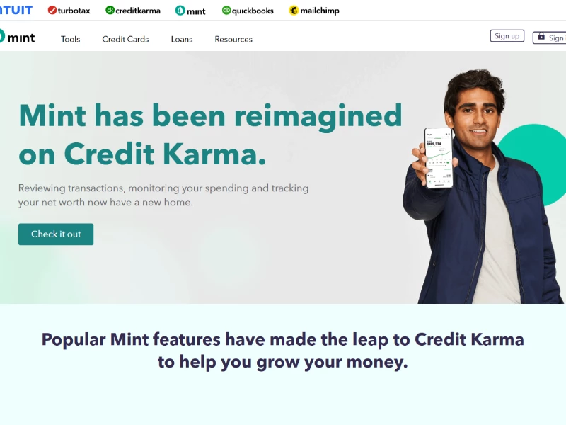 Mint Professional Website Design