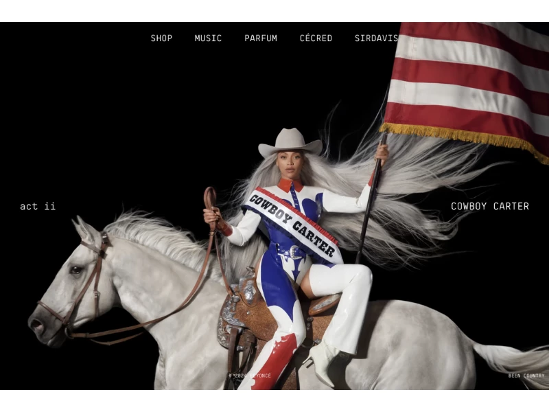 Beyoncé Top Website Design