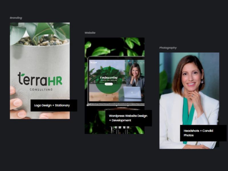 TerraHR Logo Design