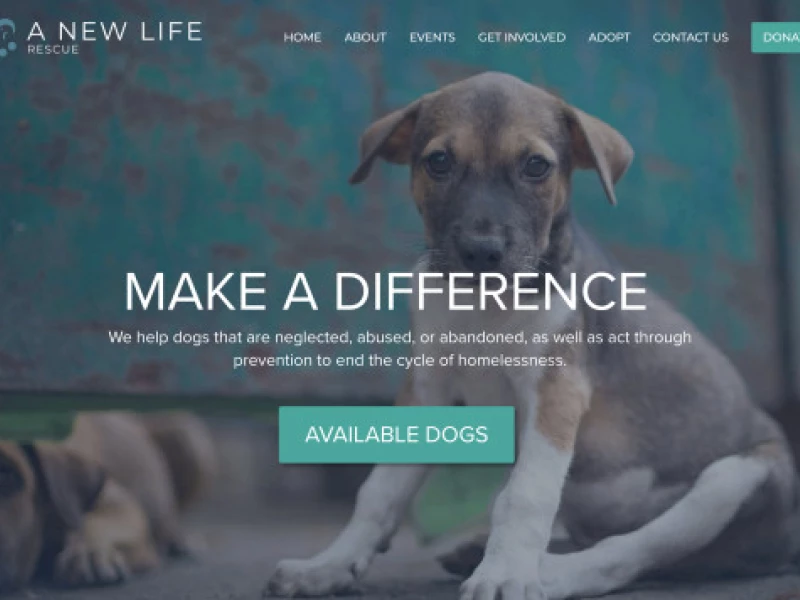 A New Life Charitable Foundation App Design