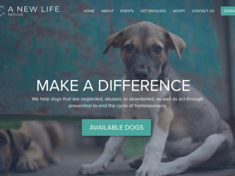 A New Life Charitable Foundation App Design