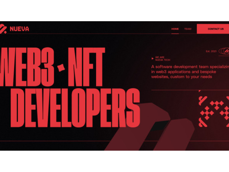 NUEVA Website Design