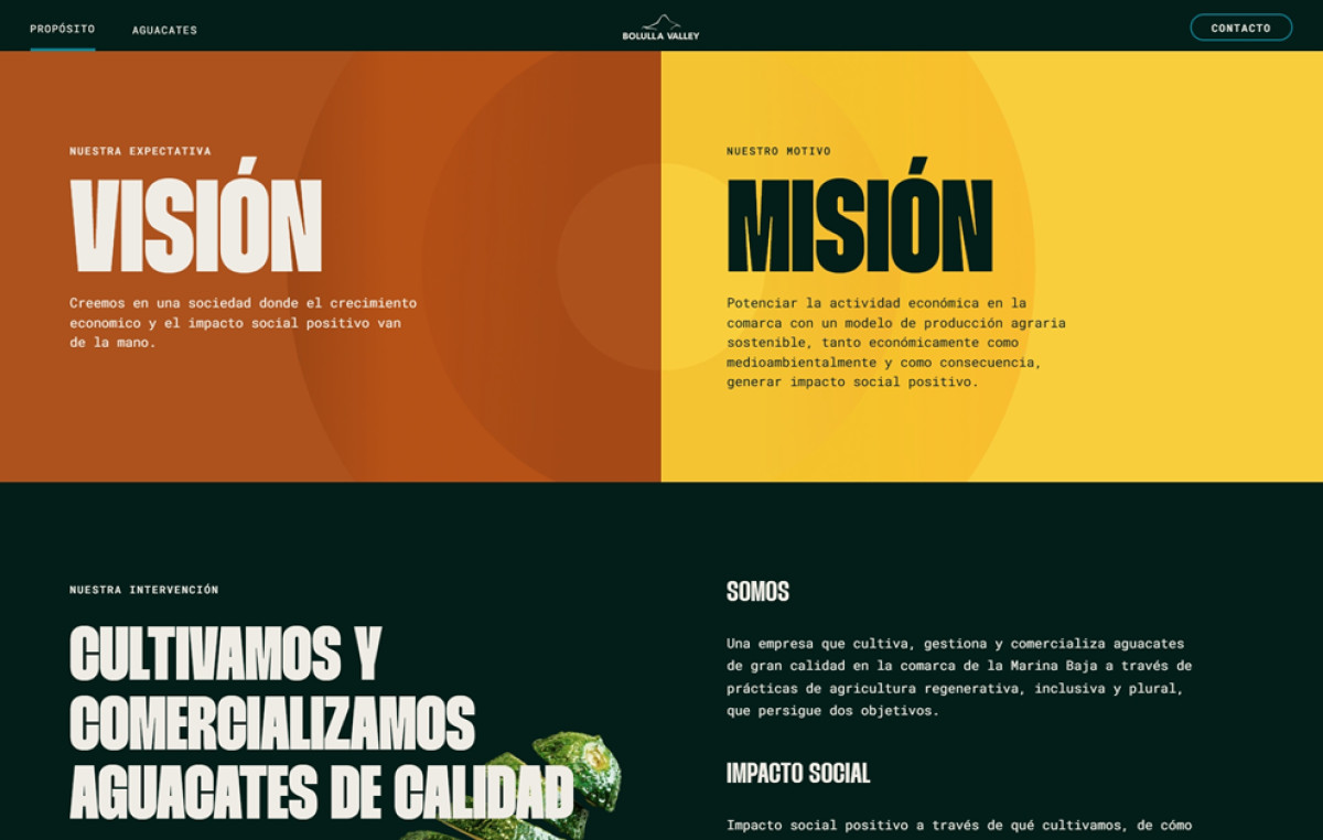 Bolulla Valley website design mission and vision section
