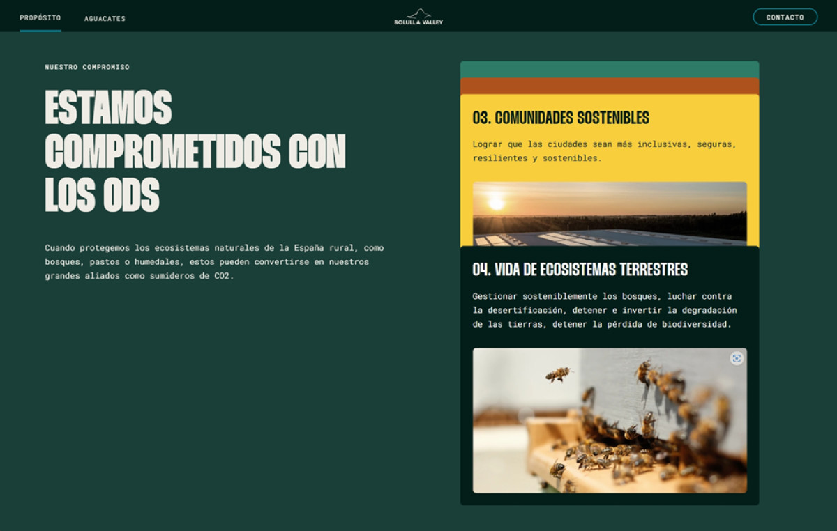 Bolulla Valley website design scroll animations.