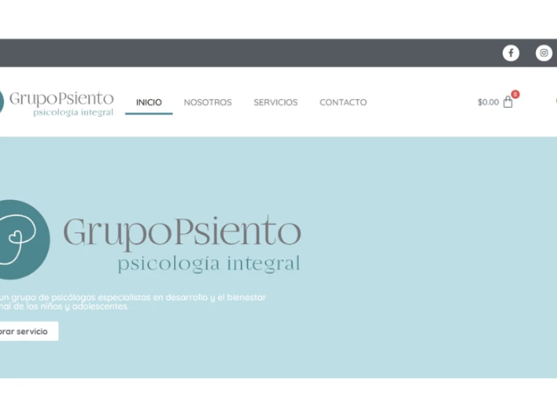 Grupo Psiento Website Design Analysis