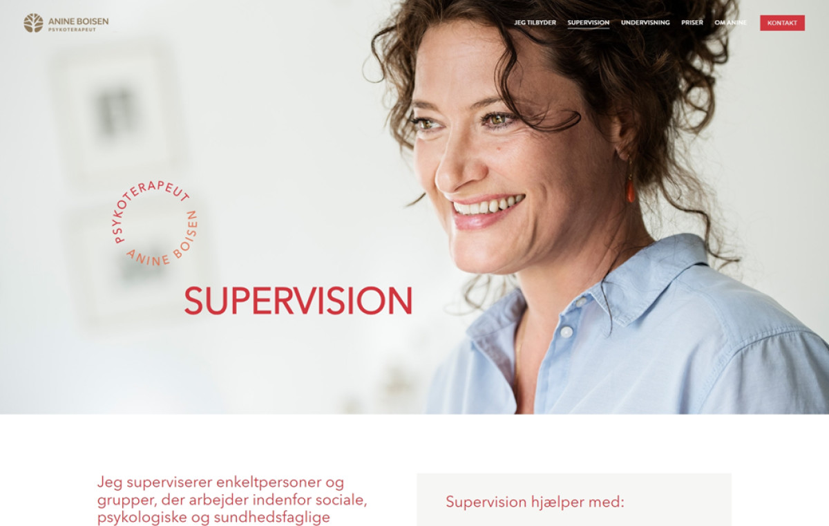 Anine Boisen website design imagery.