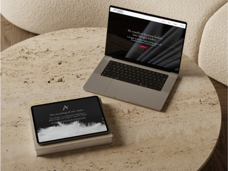 Alembic Partners Website Design Analysis by OmniBrand.