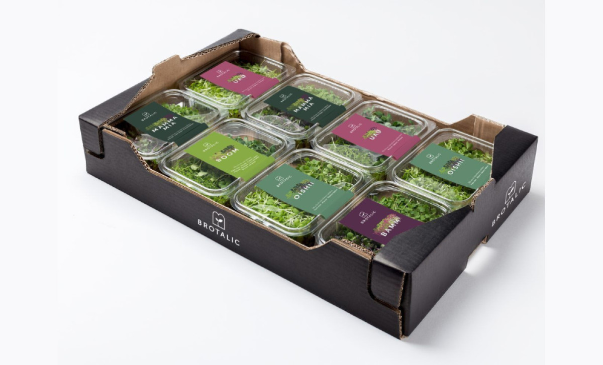 Brotalic packaging design by Veralidad Studio.