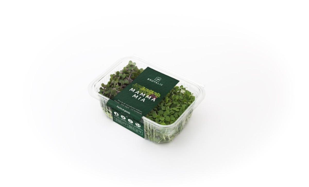 Brotalic packaging design by Veralidad Studio.