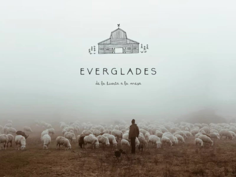 Everglades logo design by Fátima Rojo.