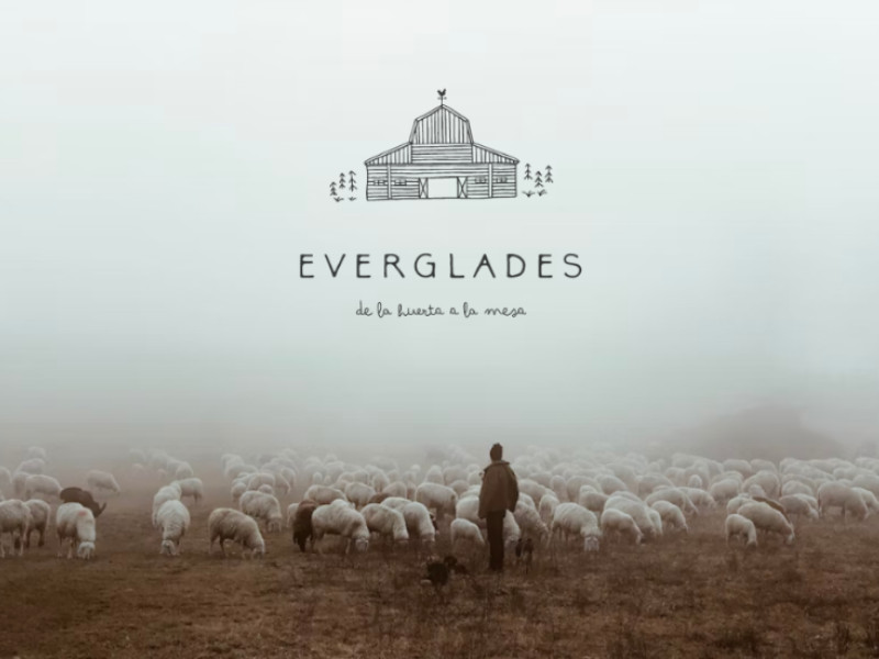Everglades logo design by Fátima Rojo.