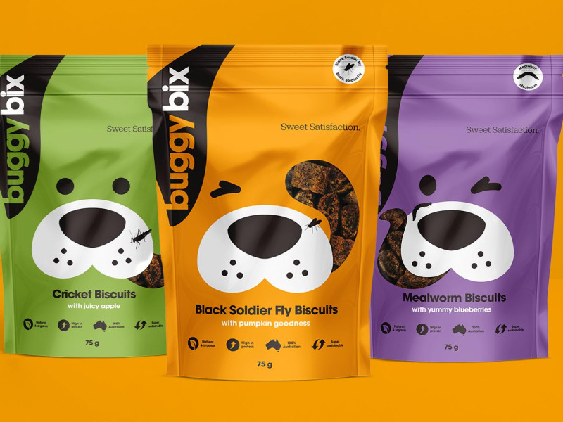 Buggy Bix packaging design by Percept