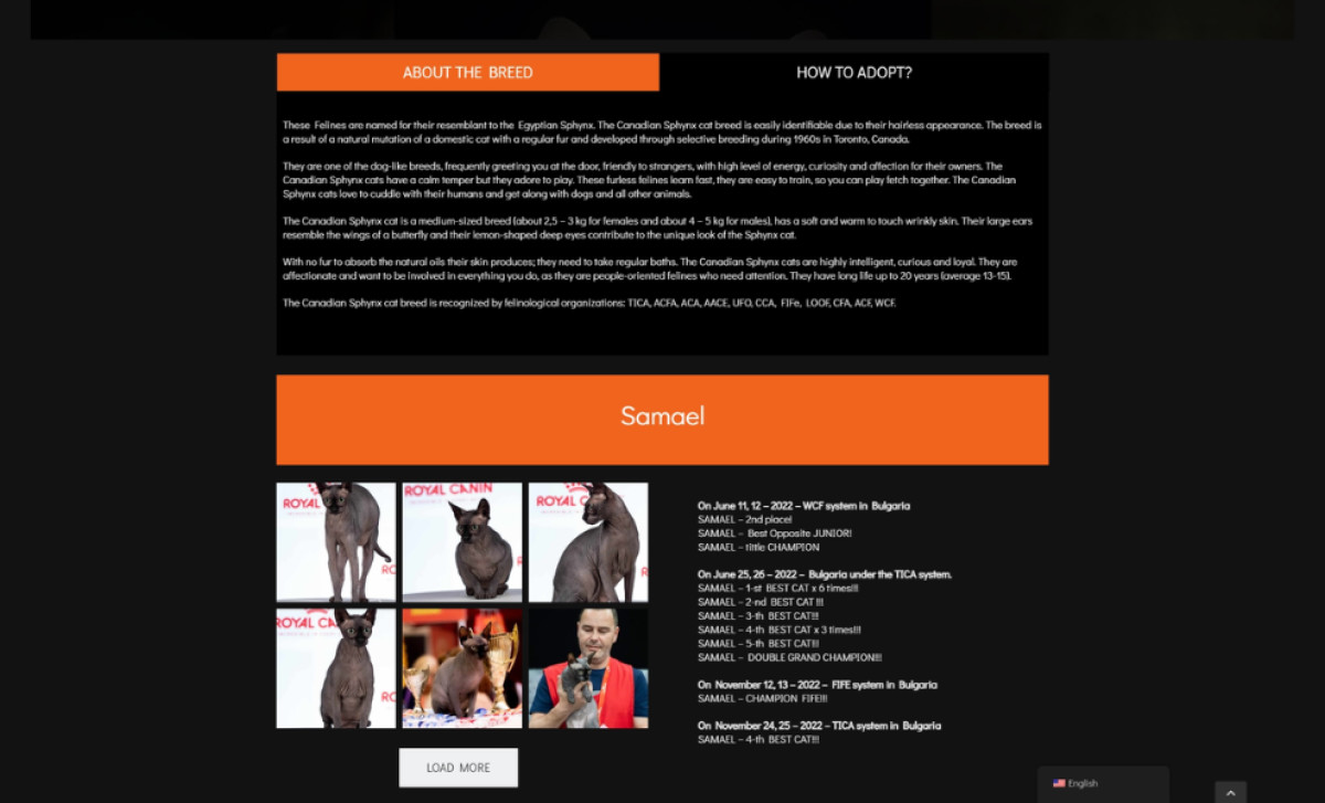 Josery Denl Mint website design by Visione Design