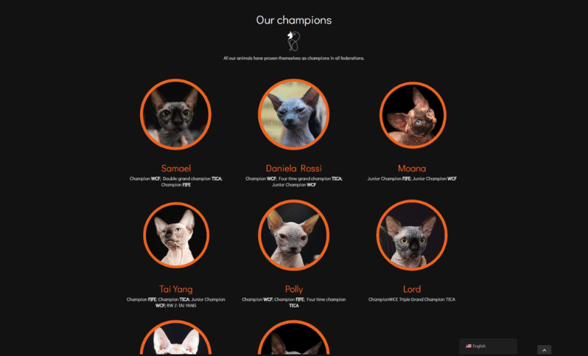 Josery Denl Mint website design by Visione Design