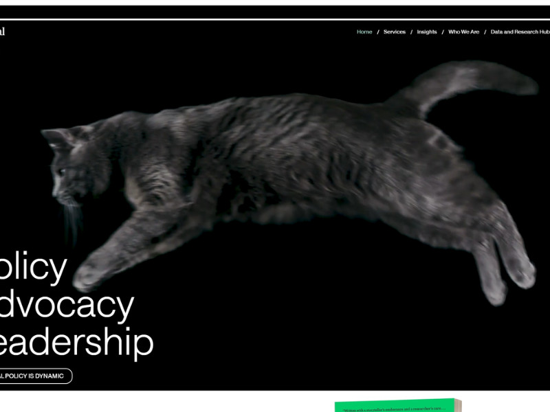 The Animal Policy Group website by Jolly Good Media.