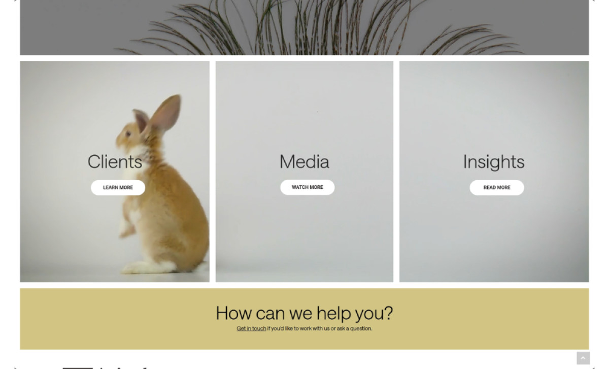 The Animal Policy Group website by Jolly Good Media.