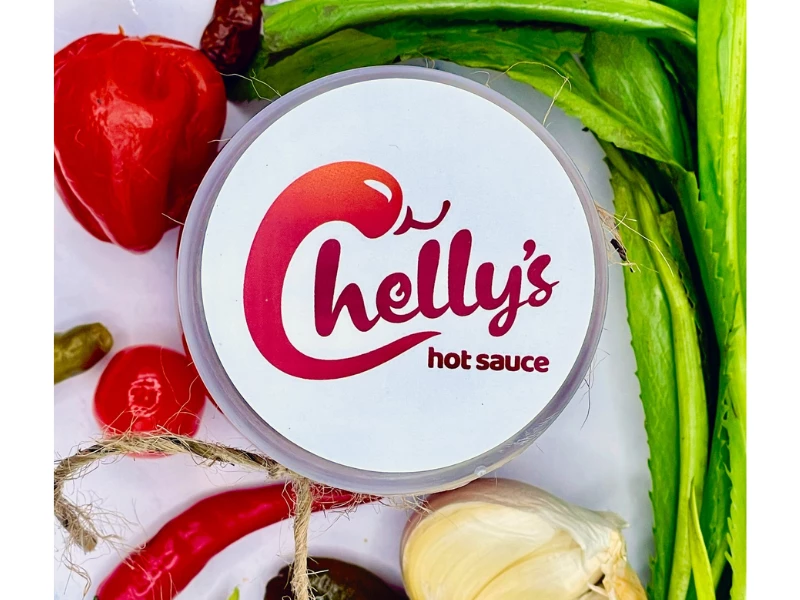 Chelly's Hot Sauce logo design by Joyce Designs It.
