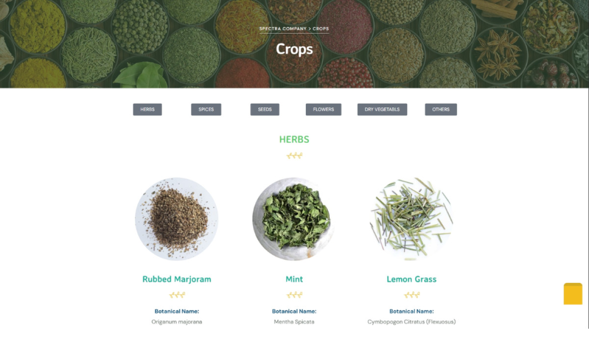 Spectra Company website design by AFKAR Marketing Agency