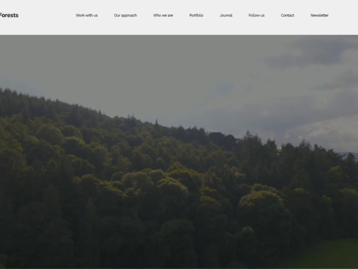 Evolving Forests website design by Southstik Studio.