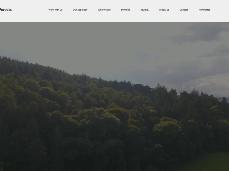 Evolving Forests website design by Southstik Studio.