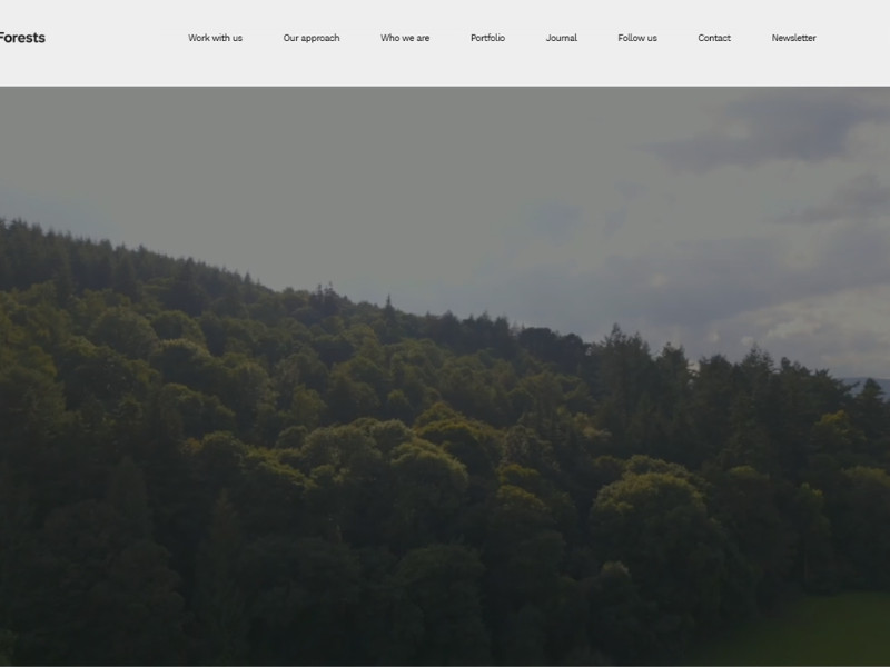 Evolving Forests website design by Southstik Studio.