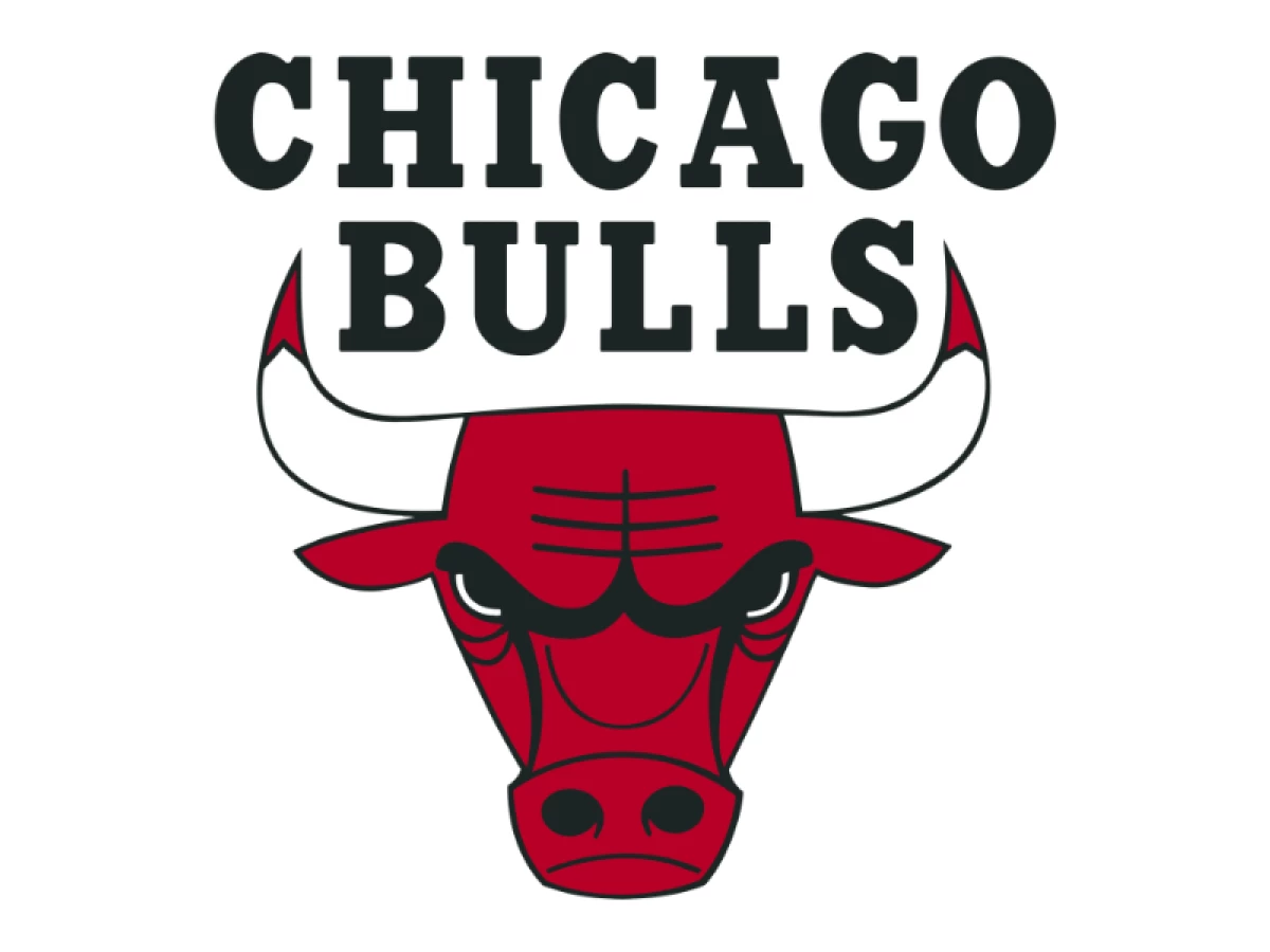 Chicago Bulls Sports Logo Design