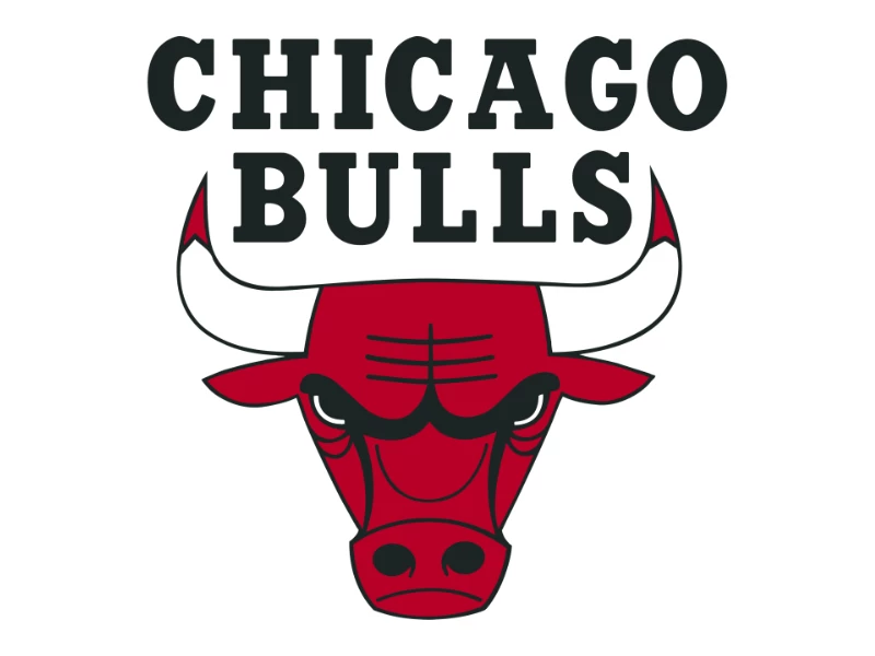 Chicago Bulls Sports Logo Design