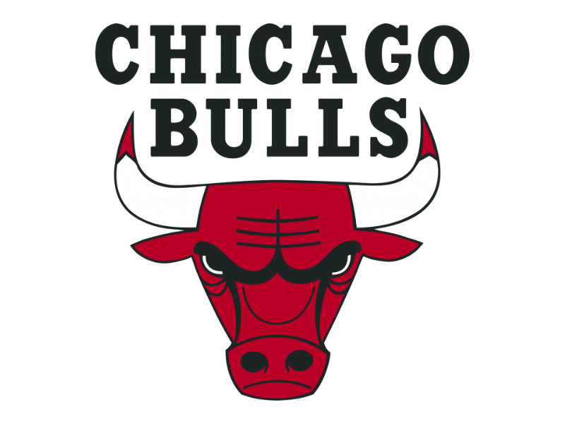 Chicago Bulls Sports Logo Design