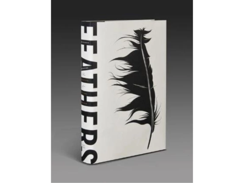 Feathers Book Cover Design