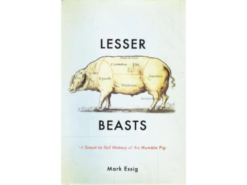 Lesser Beasts Book Cover Design