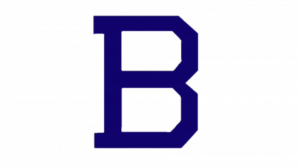 The New York Yankees Logo Design 1902