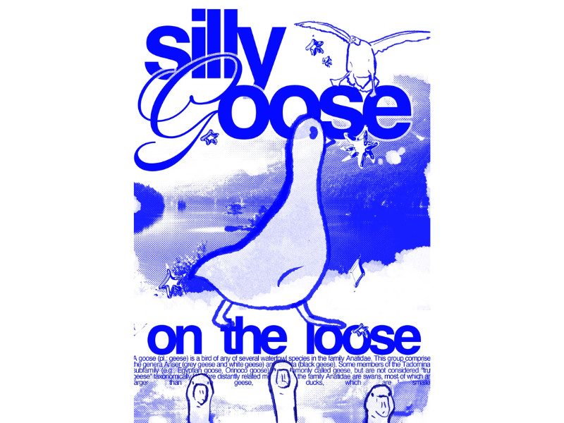 the "Silly Goose" poster design featuring playful typography and vibrant blue colors