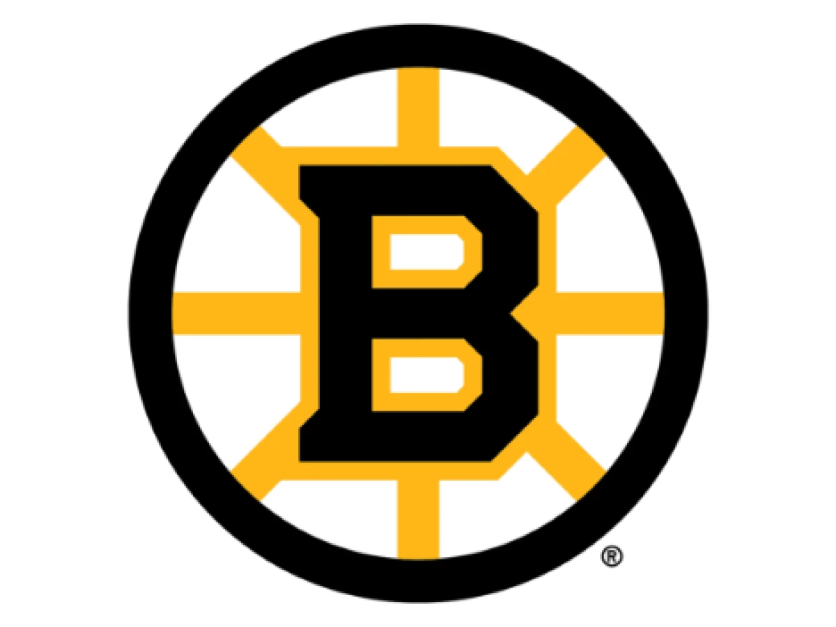 Boston Bruins Logo Design History