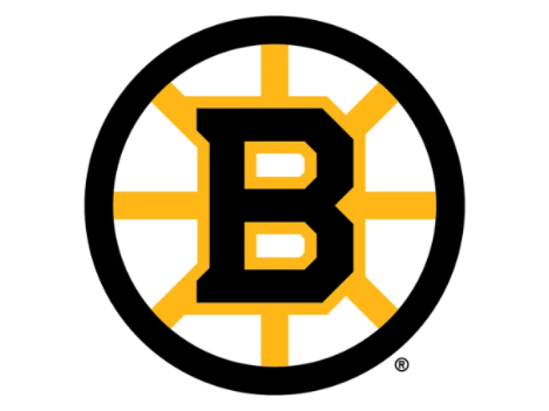 Boston Bruins Logo Design History