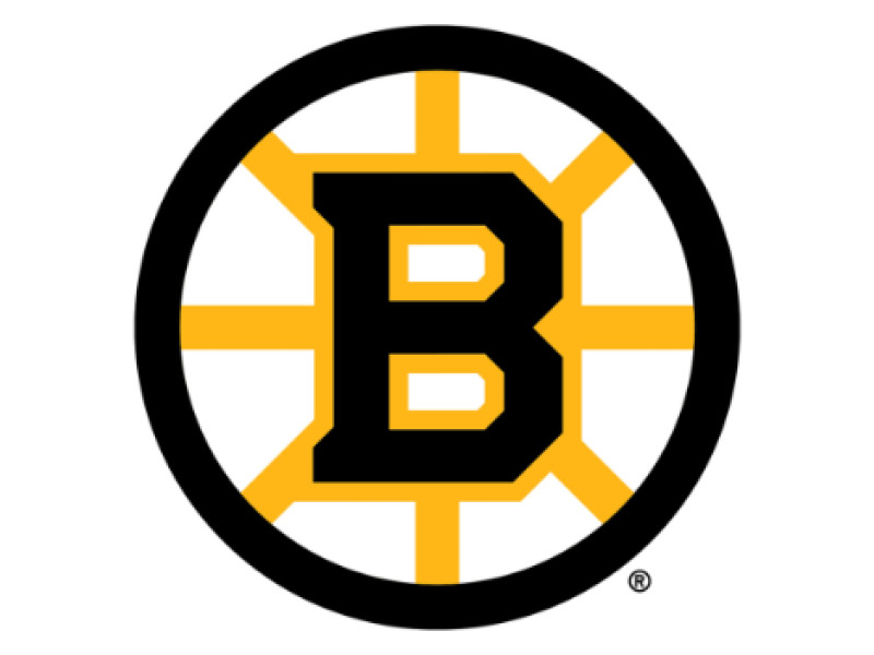 Boston Bruins Logo Design History