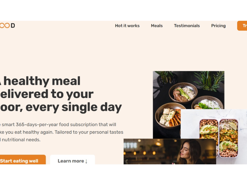 Omnifood Home Page website design by CoderWebb.
