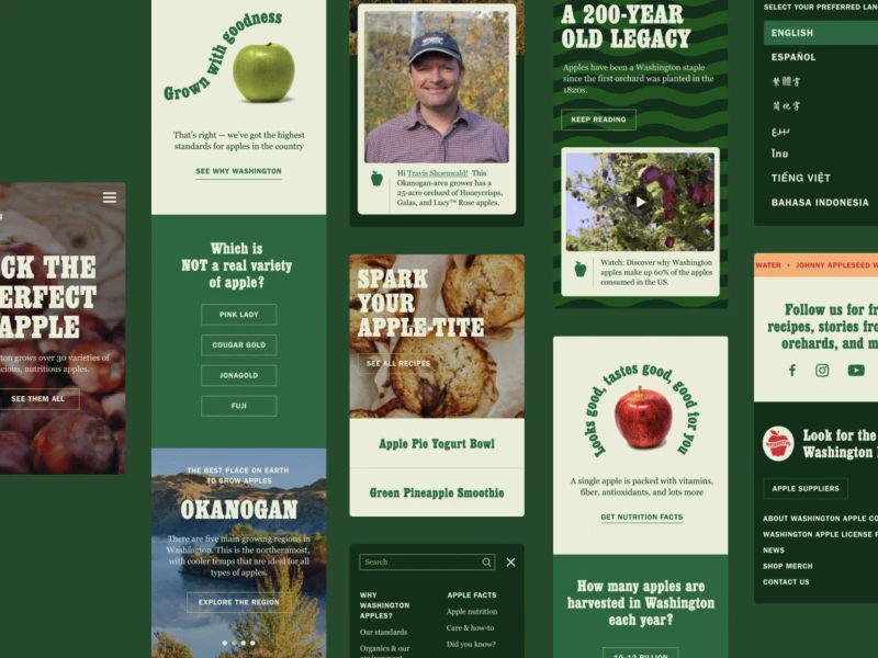 Washington Apple Commission Website Design