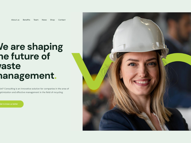 Why Not? Consulting Home Page website design by Dope Design.