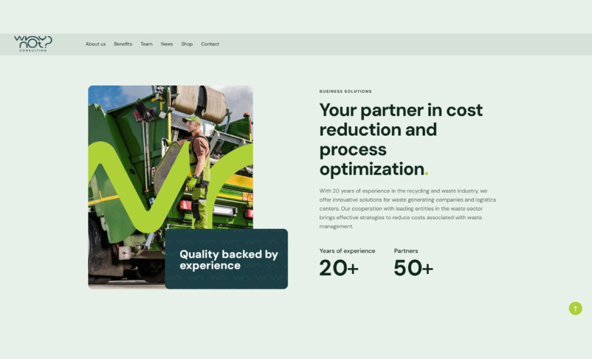 Why Not? Consulting About Us section by Dope Design.