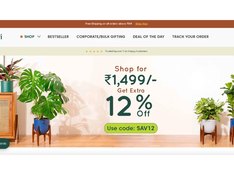 Kyari Website Design