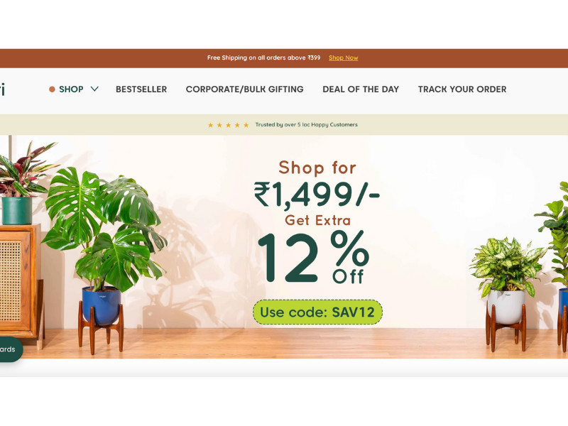 Kyari Website Design