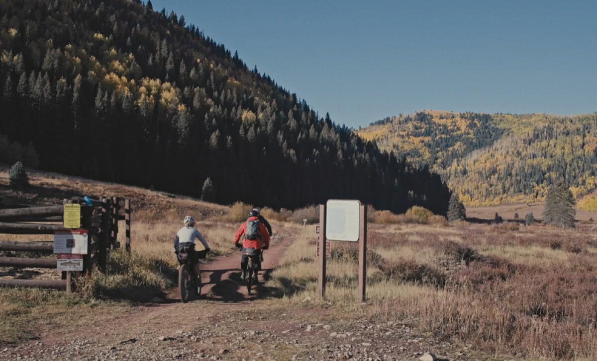 Usufruct: A Biking Story About Beetles and the Future of Our Forests (slide 2)