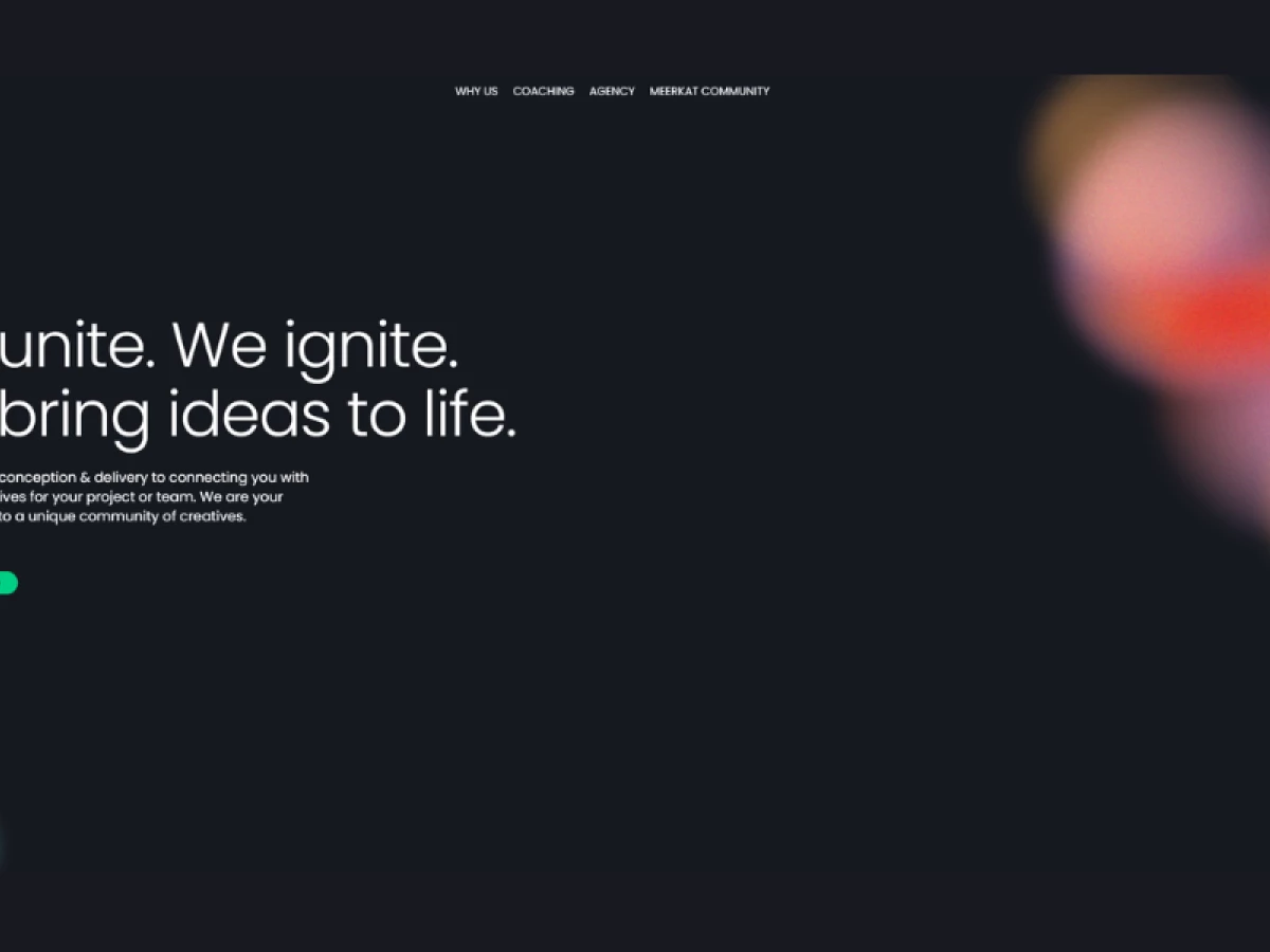 Meerkat Digital Home Page website design by Vincent Reynaud.