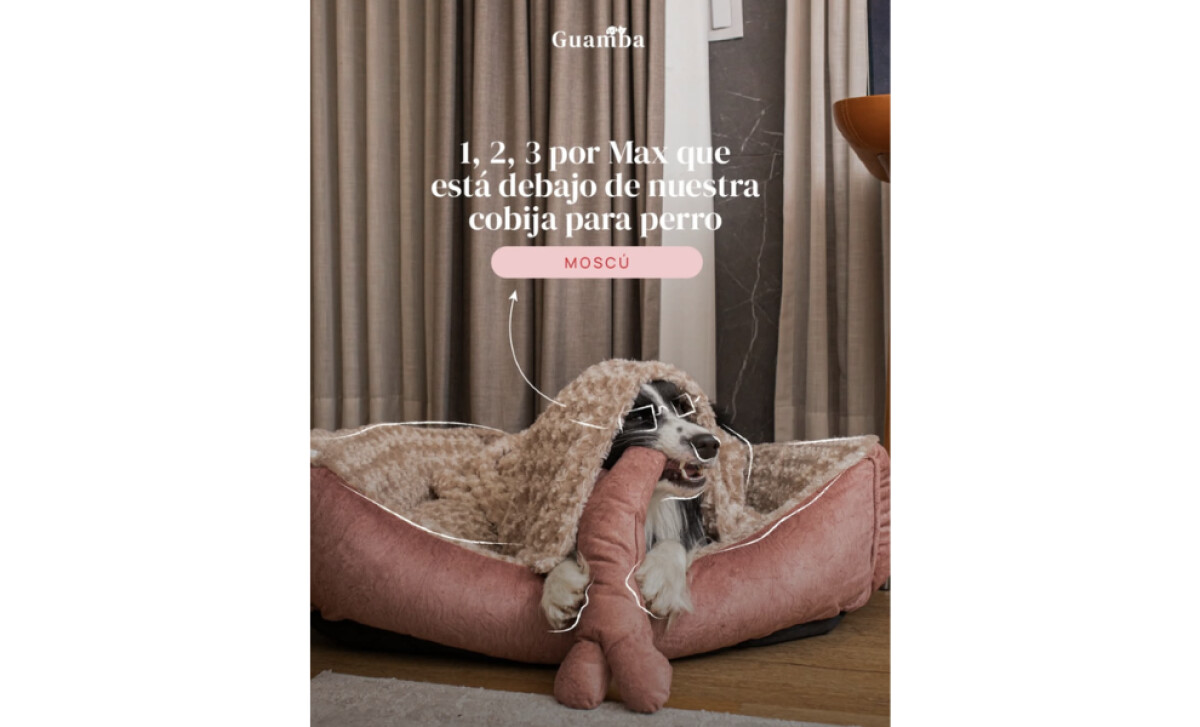 Guamba Pets featuring a dog by The Monkey Hat.