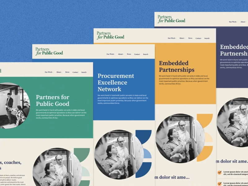 Partners for Public Good Website Design