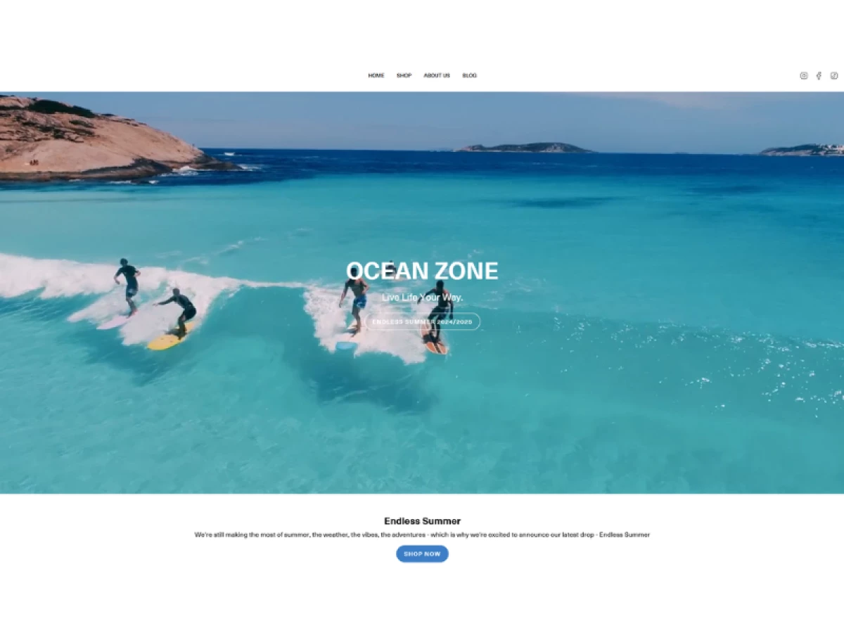 Ocean Zone Home Page website design by Ever Brands.
