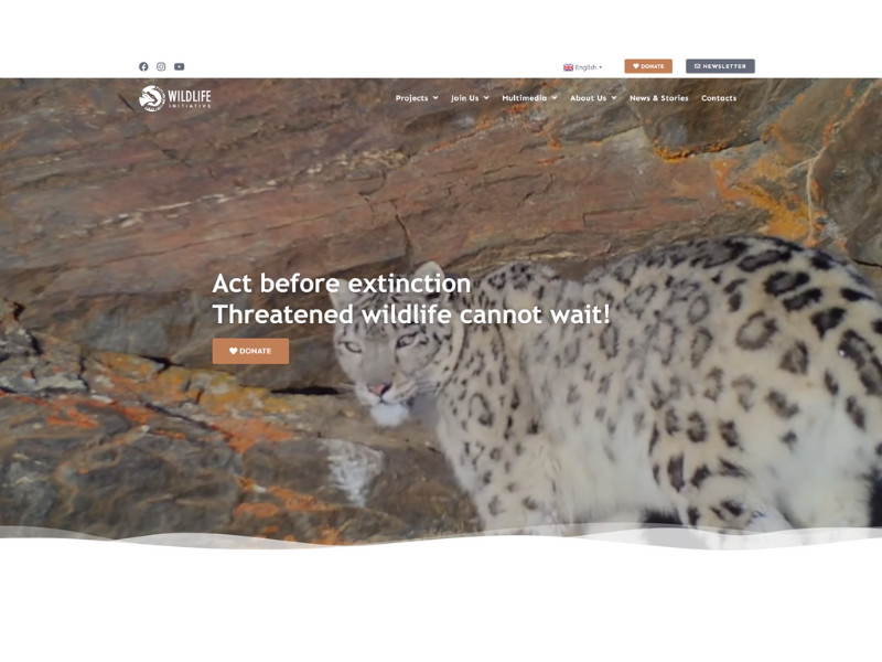 Wildlife Initiative Home Page website design by Meemu.