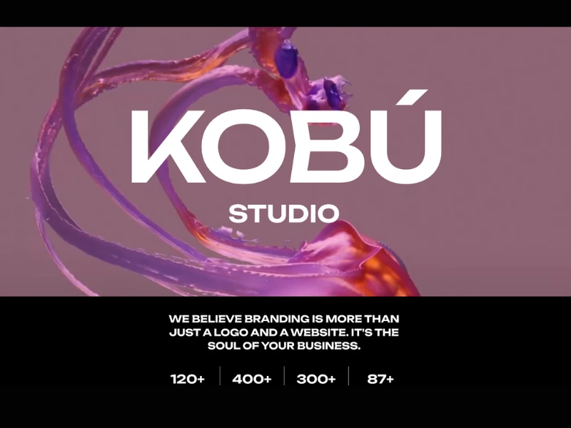 Kobu website design by WhiteFrame Creative.
