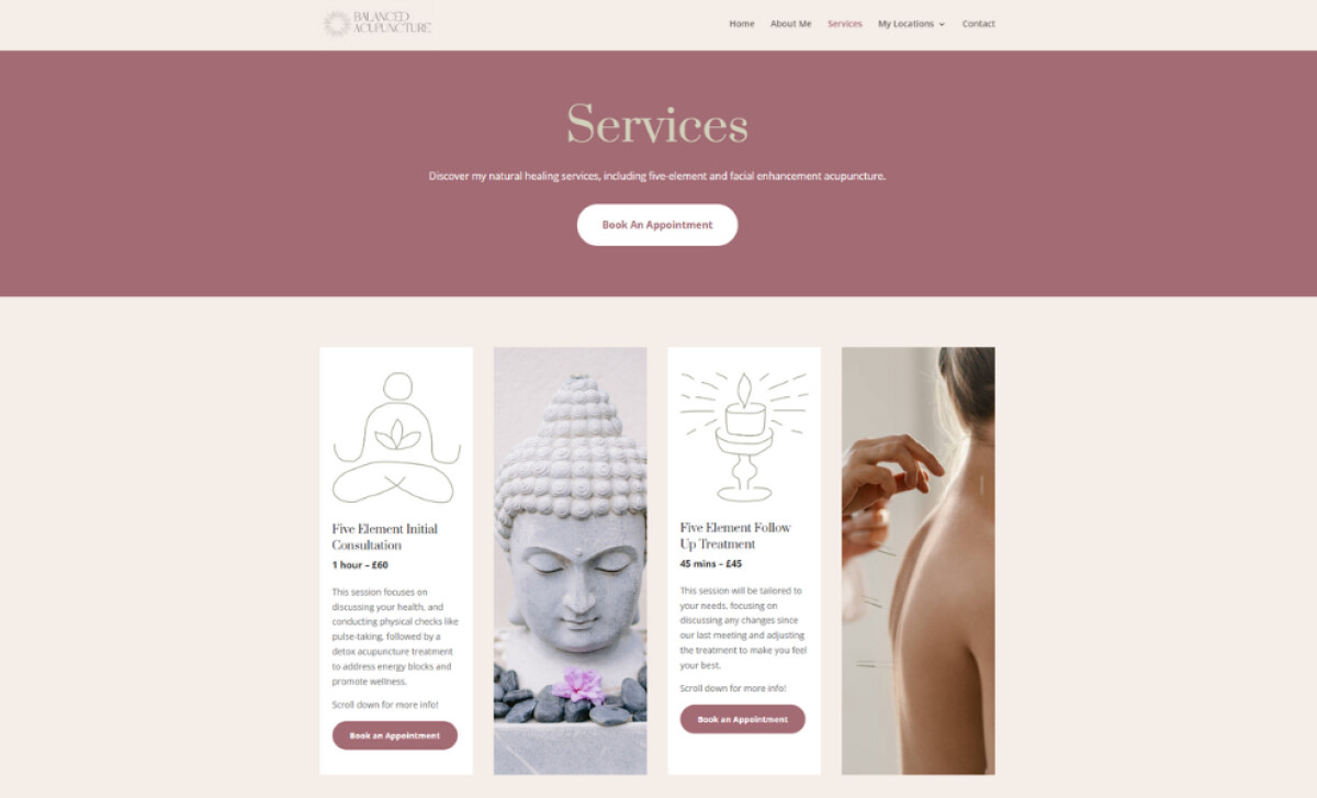 Balanced Acupuncture services section by Wasabi Sites.